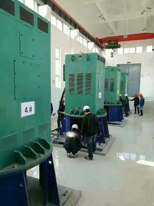 北林某污水处理厂使用我厂的立式高压电机安装现场